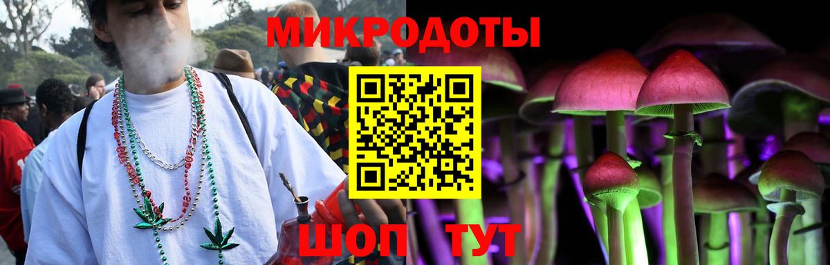 Псилоцибиновые грибы Psilocybe  Вход с VPN  Ижевск 